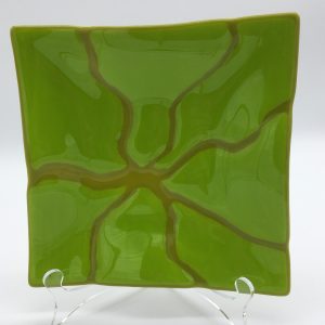Green 9X9 inch fracture plate